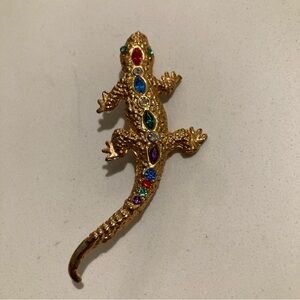 Lizard Reptile Geico Rainbow broach